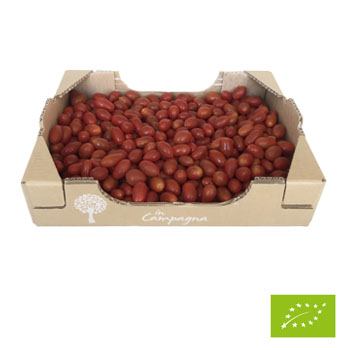 Cubottino pomidorki daktylowe BIO 3kg