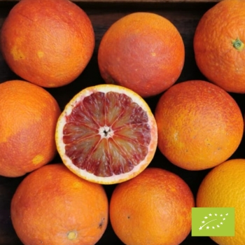 Cubotto pomarańczy Tarocco Rosso DUŻE BIO 11kg