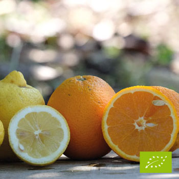Cubotto pomarańcze Ovale - cytryny BIO (9,5+2) 11,5kg