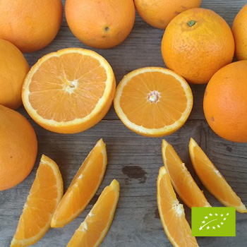 Cubotto pomarańcze Ovale - pomarańcze Lane Late BIO (8+3,5) 11,5kg