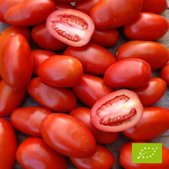Pomidorki daktylowe BIO 500g
