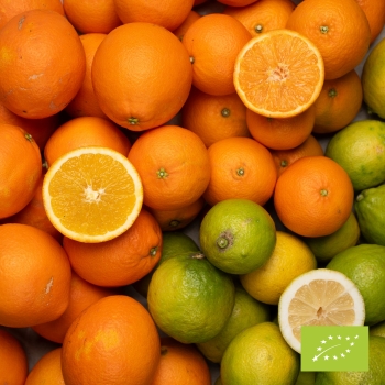 Cubotto pomarańcze Navelina - cytryny - klementynki BIO (7,5+2+2) 11,5kg