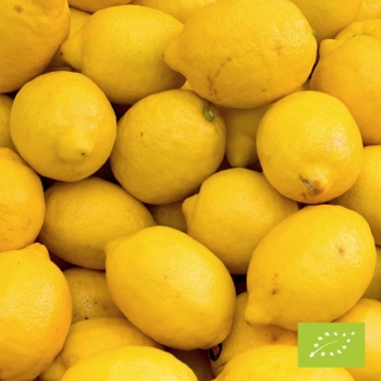 Cubotto with lemons BIO 12kg